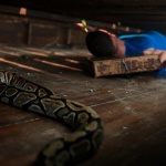 photo-